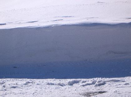 Geisler 054 